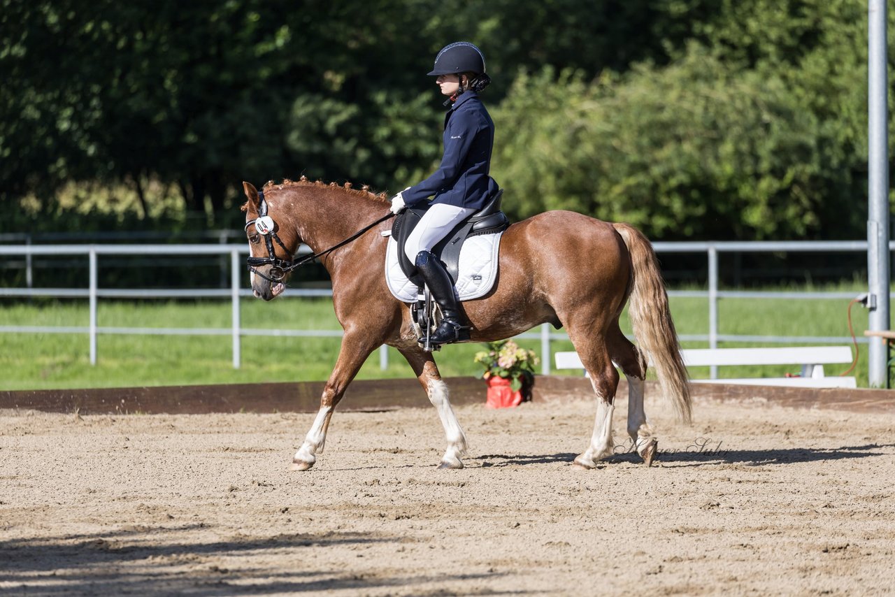 Bild 273 - Pony Akademie Turnier